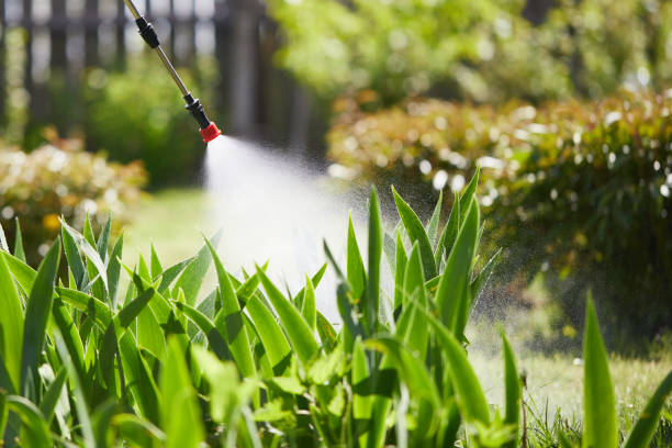 Tamper-Resistant Bait Stations for Rodents in Wilson's Mills