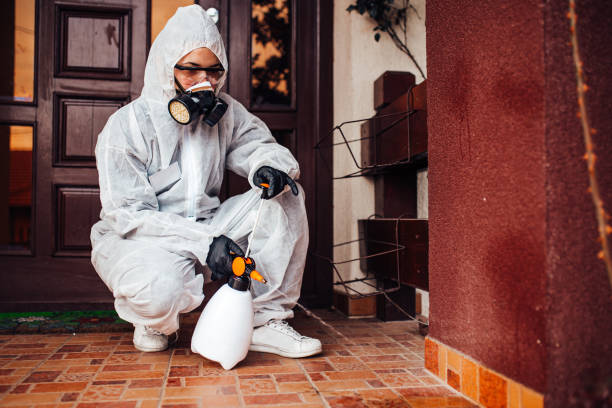 Attic and Crawl Space Rodent Treatment in Wilson's Mills