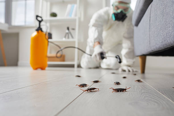 Commercial Rodent Management in Wilson's Mills